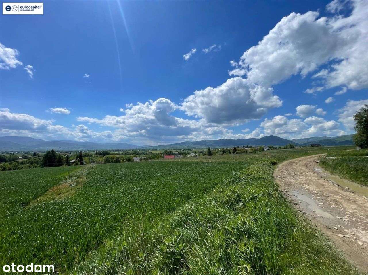 Duża, Słoneczna I Widokowa W Pietrzykowicach !!! - Pełny obrazek: 5/17