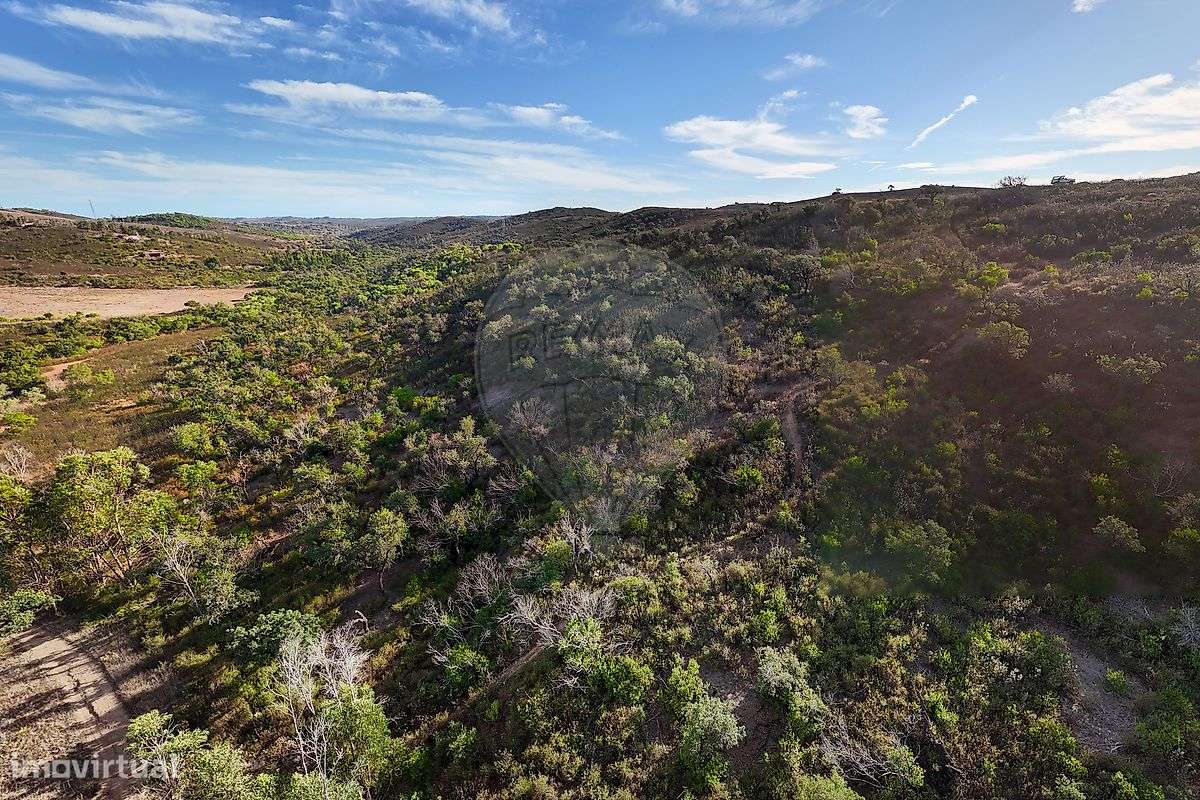 Terreno  para venda - Grande imagem: 5/7