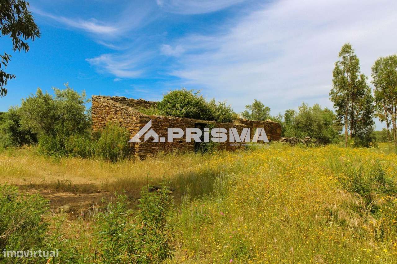 Quinta para Venda em União de Freguesias de Escalos de Baixo e Mata - Grande imagem: 4/18