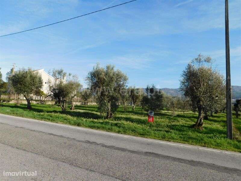 Terreno Rústico / Gouveia, Lagarinhos - Grande imagem: 5/6