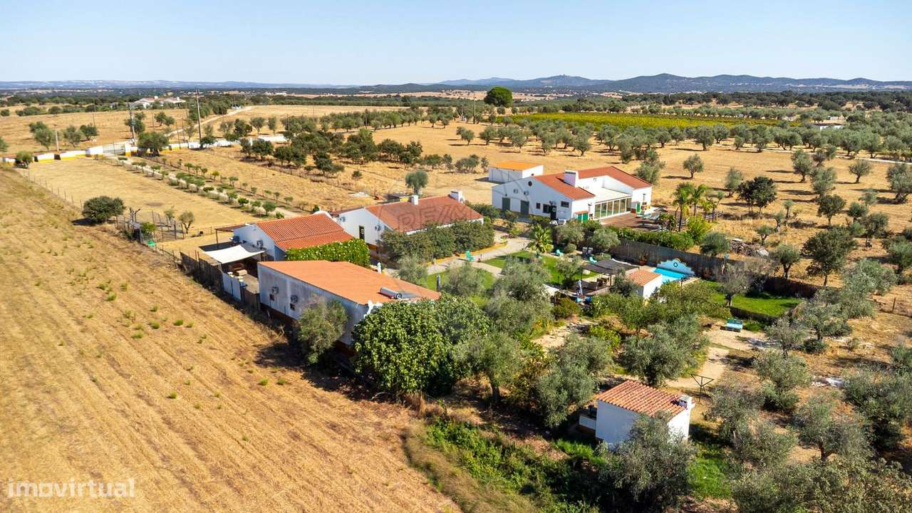 Quinta T9 para venda - Grande imagem: 4/50