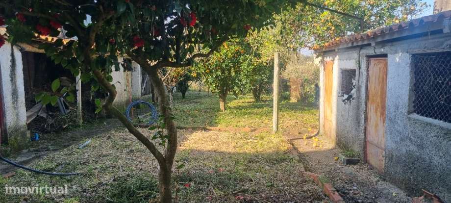 Moradia T4+2 - Casais do Campo - Coimbra/Venda-8