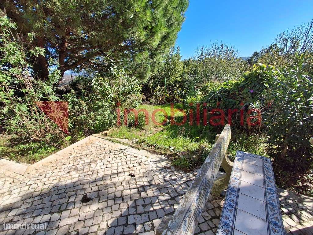 Moradia Rustica inserida numa Magnifica Paisagem Vinícola-23