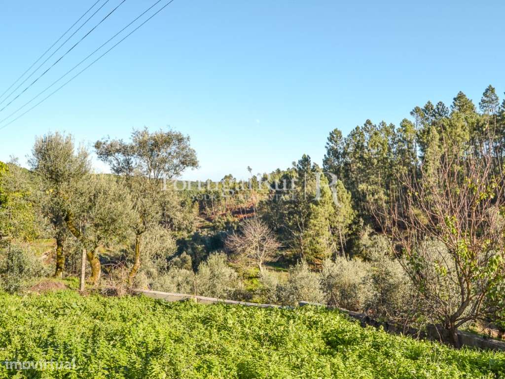 Lote de 600 m2 para construção - Grande imagem: 5/19