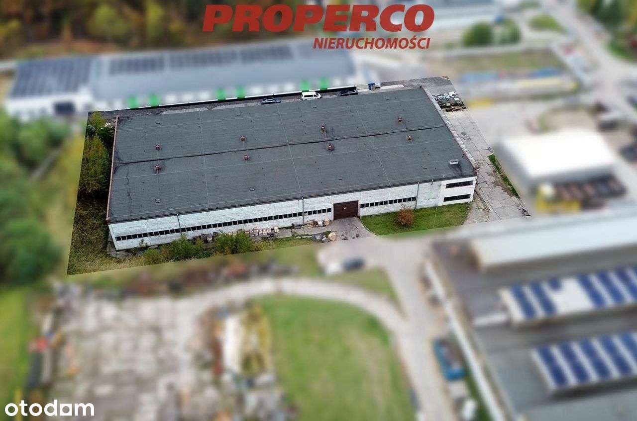 Hala 2645m2, 2 suwnice, Skarżysko-Kamienna - Pełny obrazek: 4/14