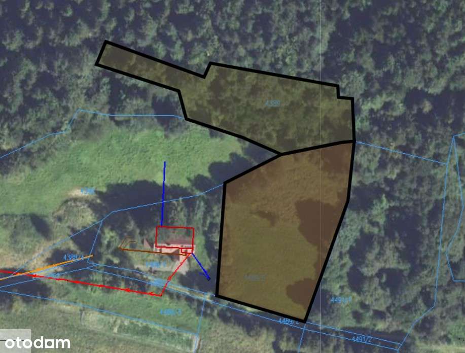 Widokowa działka z własnym lasem! - pod dom, domek weekendowy, domki-4