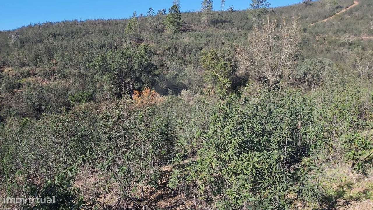 Terreno  para venda - Grande imagem: 5/10