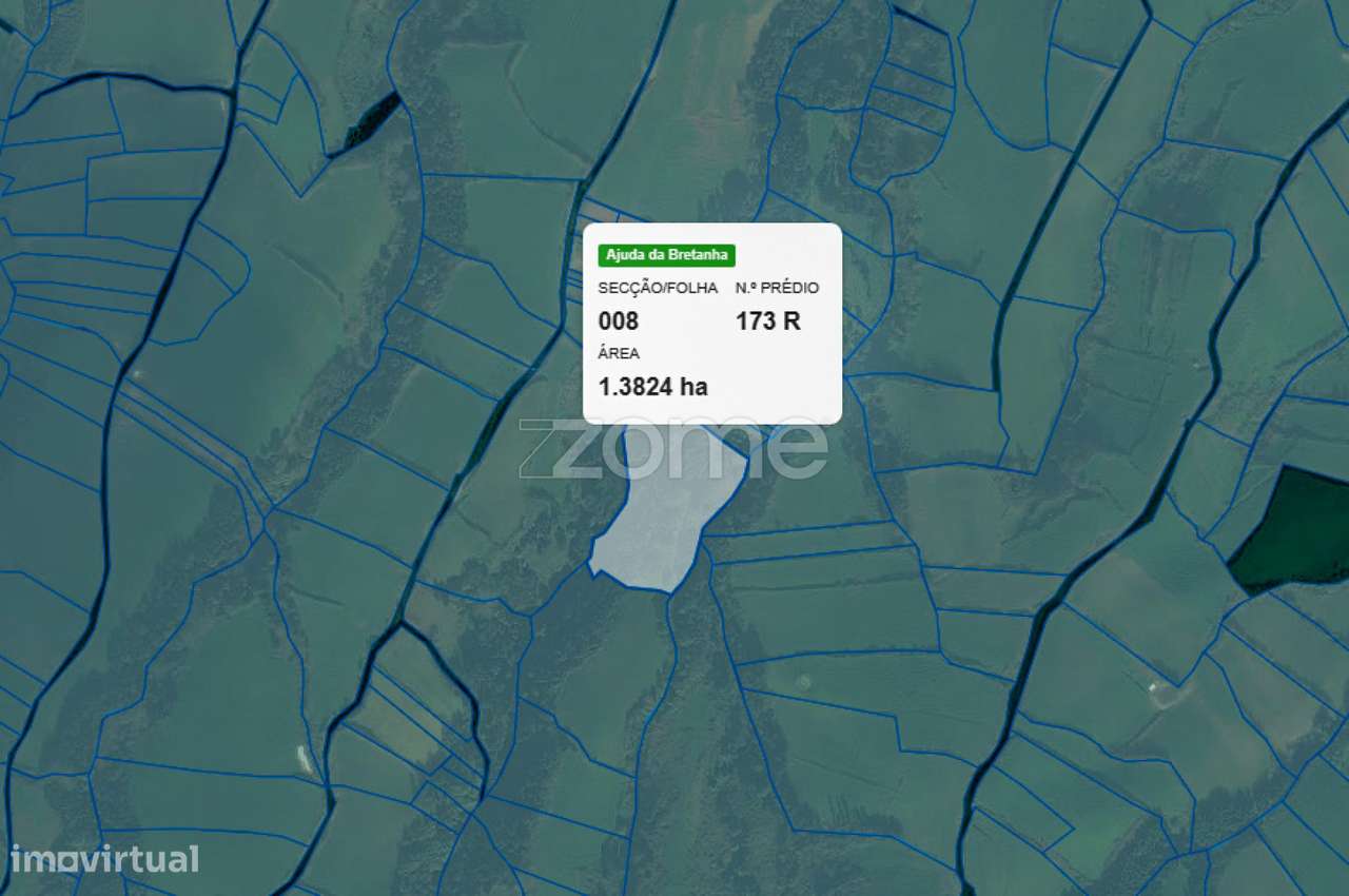 Terreno composto por mata com 13420m2 - Grande imagem: 5/5
