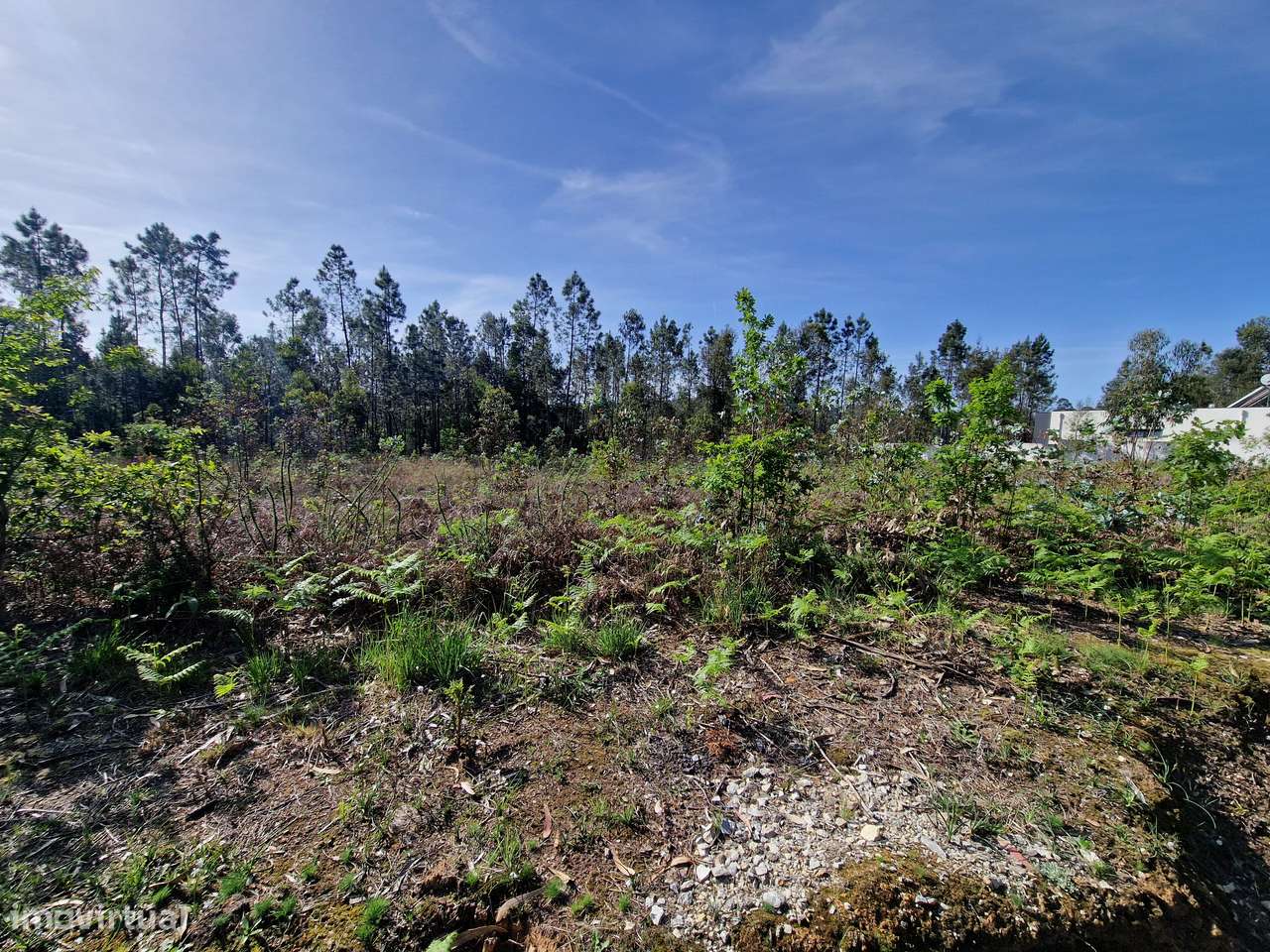 Fantástico Terreno com viabilidade de construção de 6 moradias - Grande imagem: 5/7