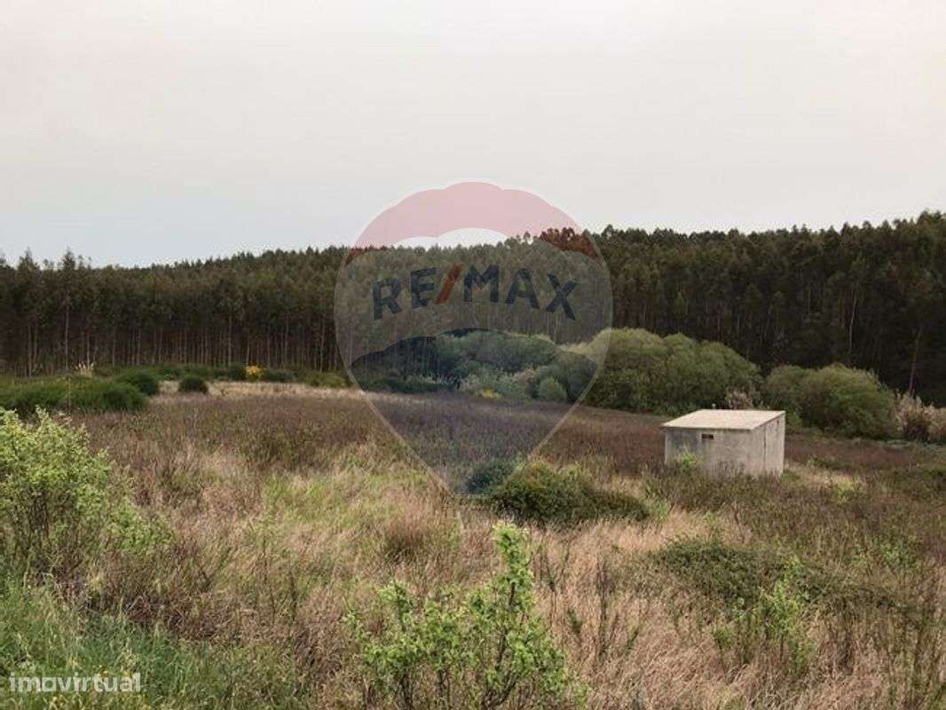 Terreno  para venda - Grande imagem: 5/16