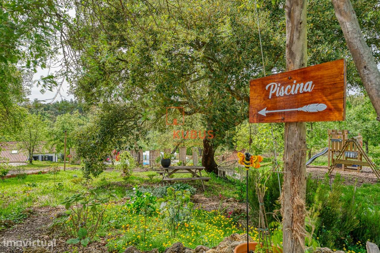 Quinta - Olival, Ourém-21