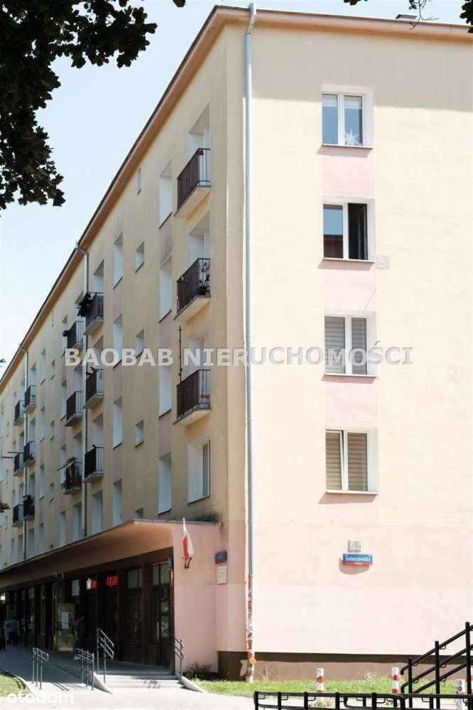 Odyńca 71 do sprzedania-17