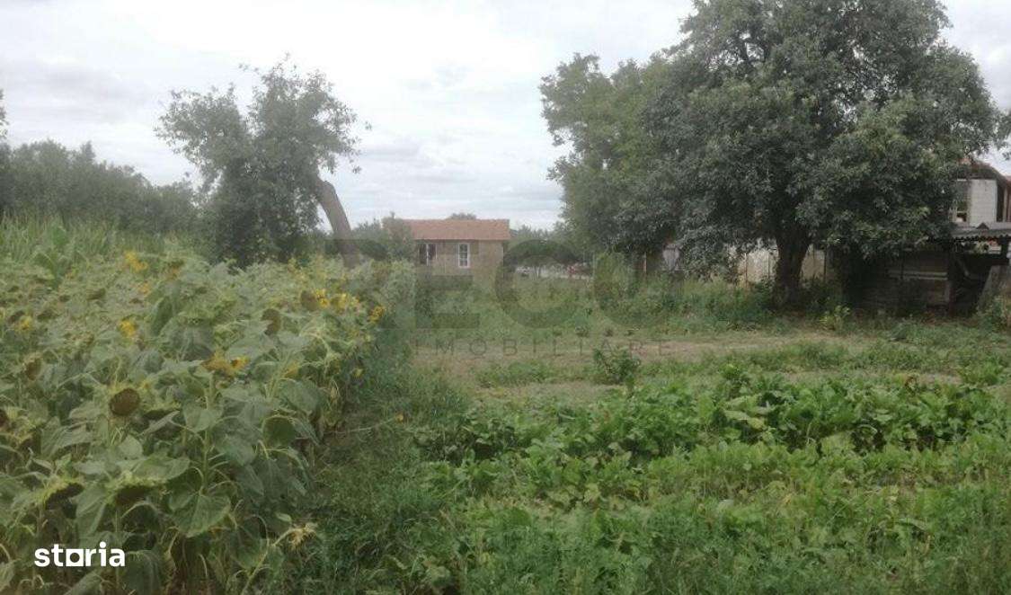 RECO Casa in Ghiorac , com. Ciumeghiu la 16km de Salonta - Imagine principală: 5/6