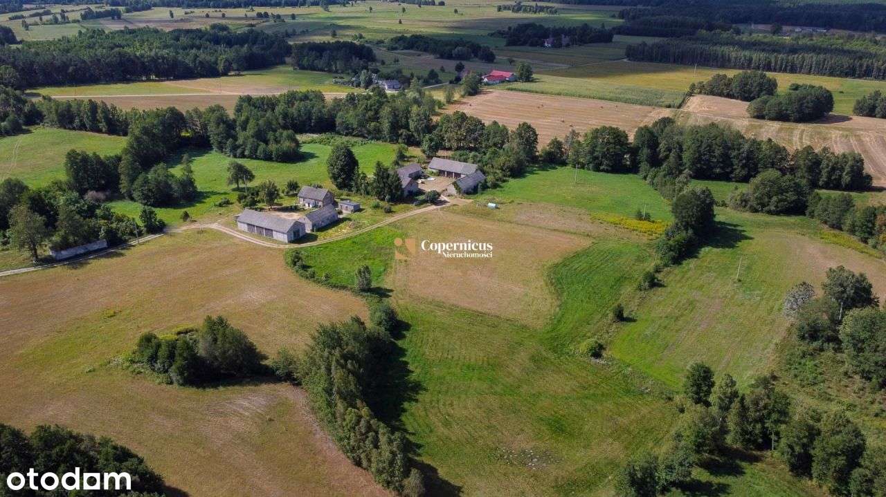 Grunt-6 ha z domem i budynkami,gm.Skępe,potencjał-10