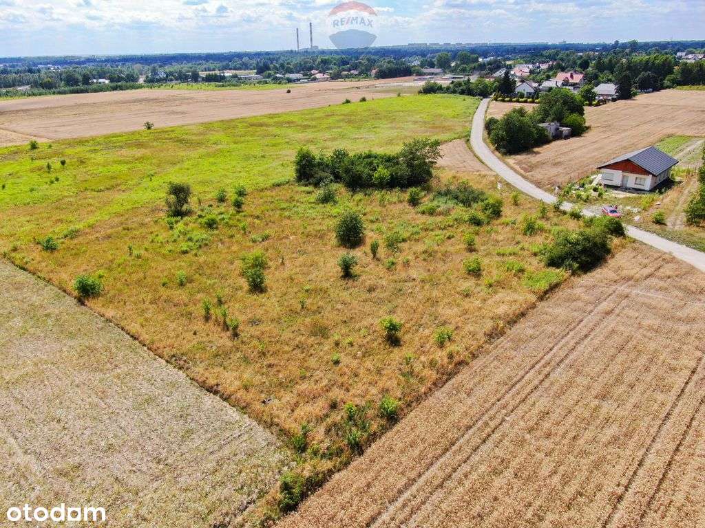 Piękna działka na obrzeżu Łódź-Widzew - Pełny obrazek: 4/11