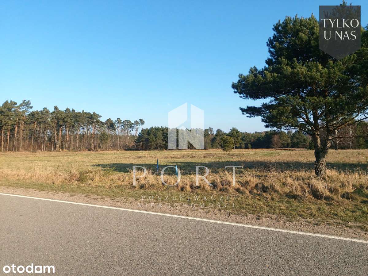 Działka w Słuchowie - 5 km do Białogóry. - Pełny obrazek: 2/5