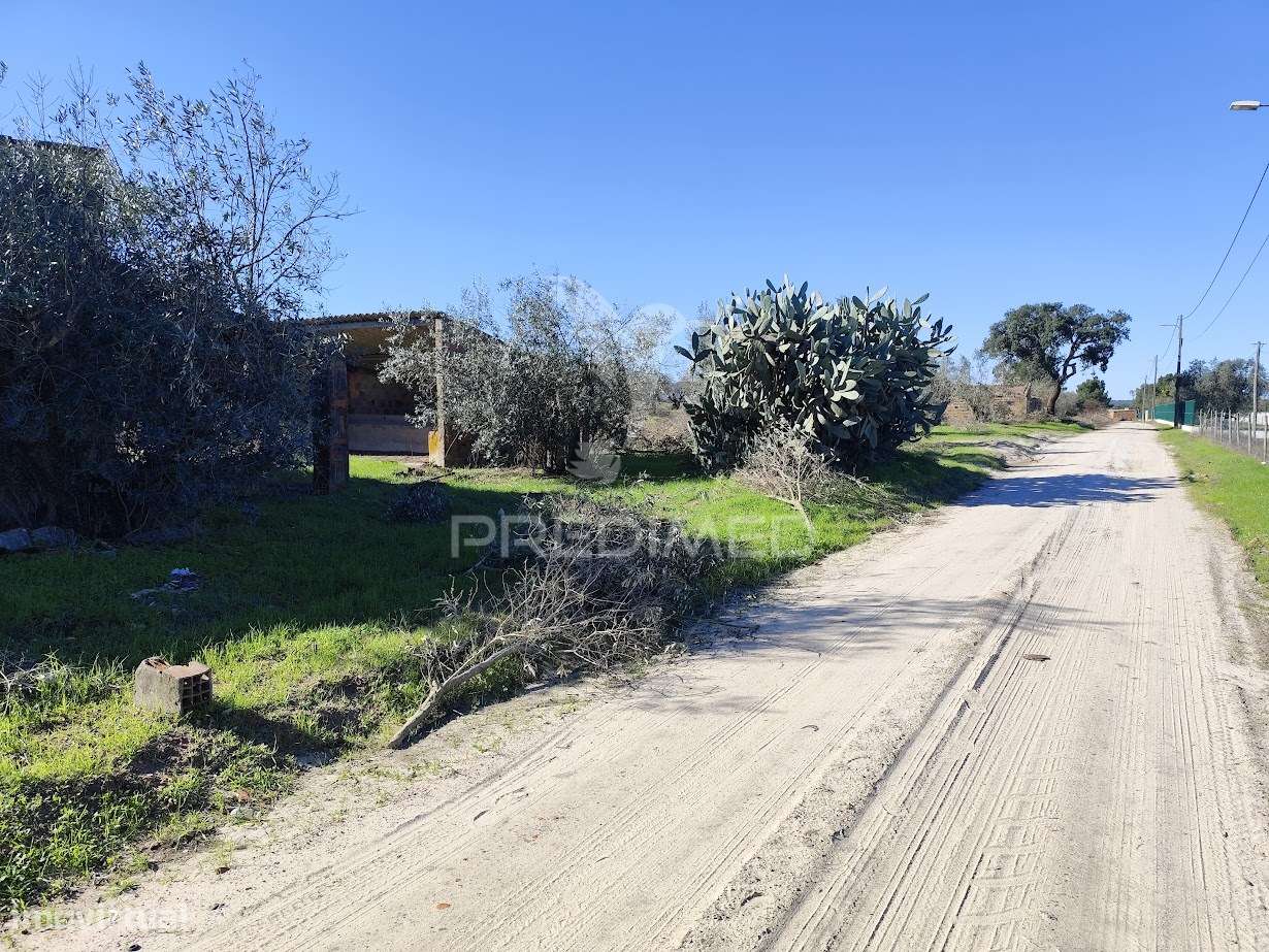 Terreno Rustico na Aldeia do Futuro - Grande imagem: 5/12