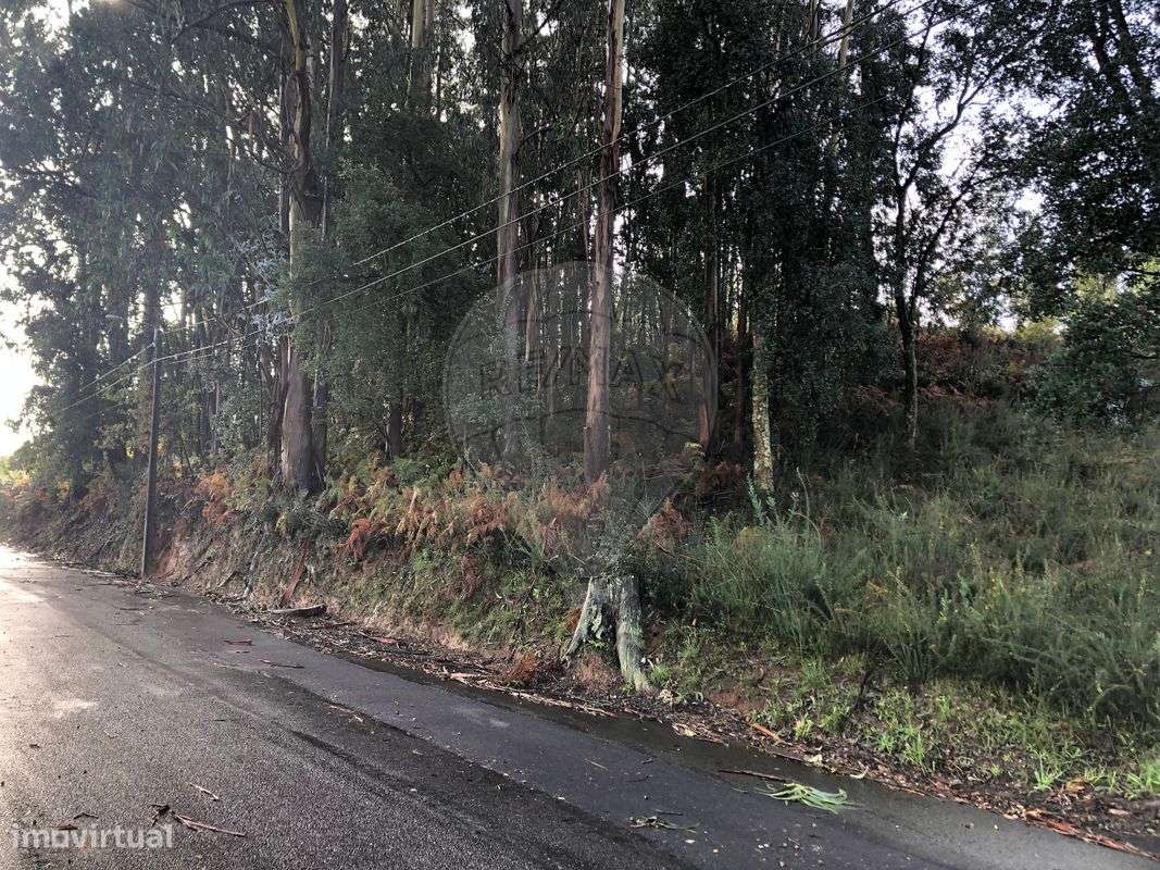 Terreno  para venda - Grande imagem: 3/8