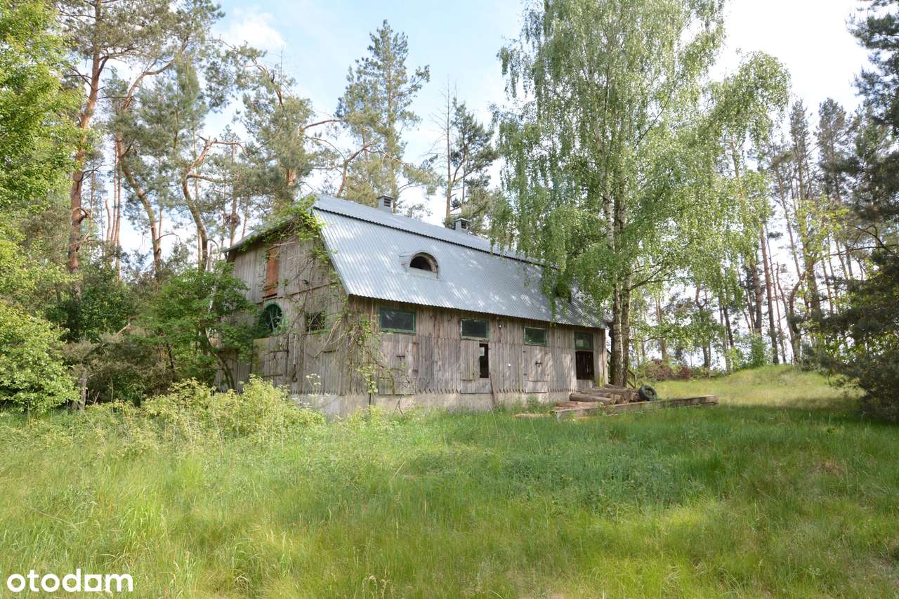 Podlasie, urocze siedlisko ze stajnią - Pełny obrazek: 2/18