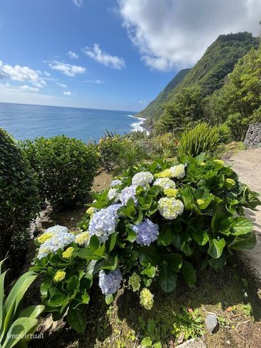 Deslumbrante Moradia com Vista para o Mar em São Miguel | 3 Quartos co-19