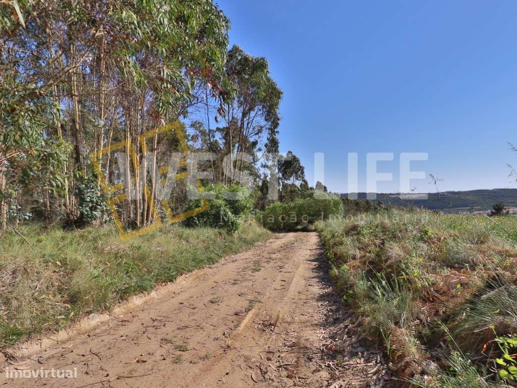 EXCLUSIVO West Life - Terreno Rústico de 4810m2 com poço e fantásti... - Grande imagem: 2/18