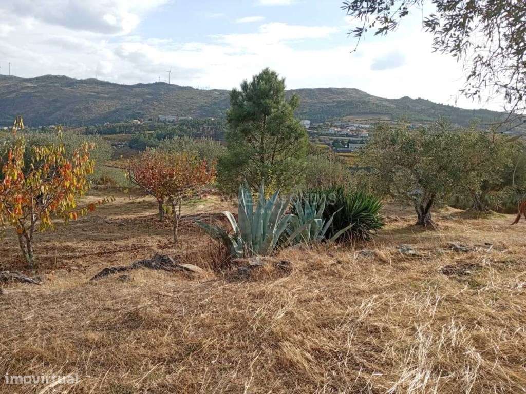 Quinta situada na pitoresca aldeia de Barcos. - Grande imagem: 3/31