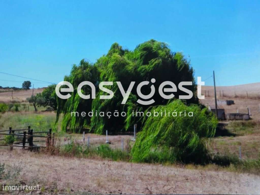 Monte Alentejano em Moura - Alentejo - Grande imagem: 3/43