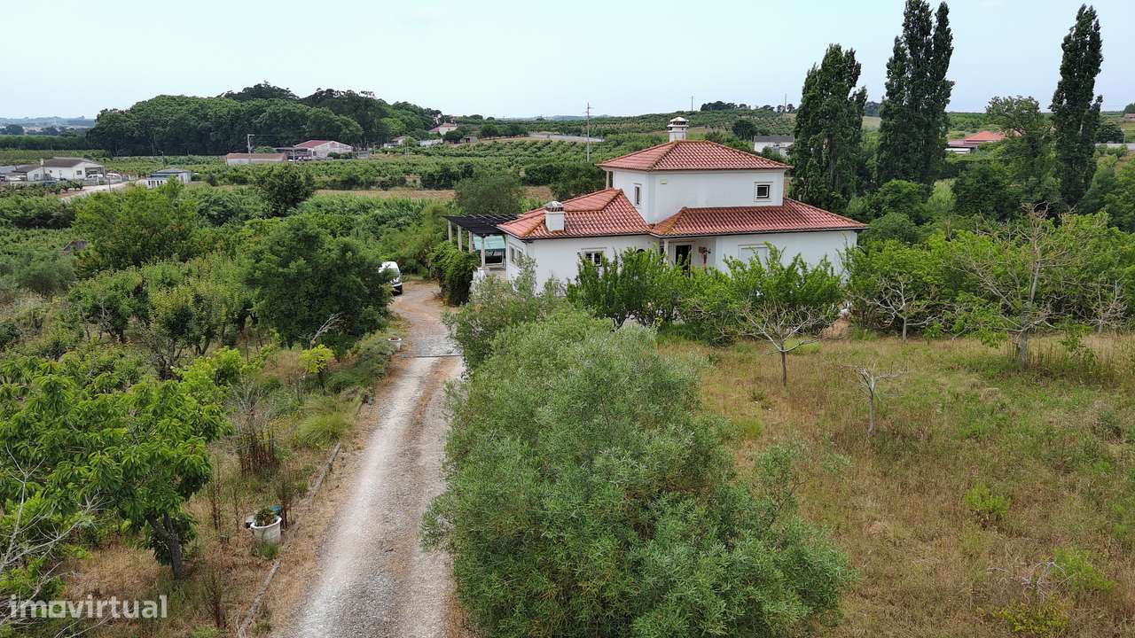 Herdade com 13.360m2 no Bombarral - Grande imagem: 4/37
