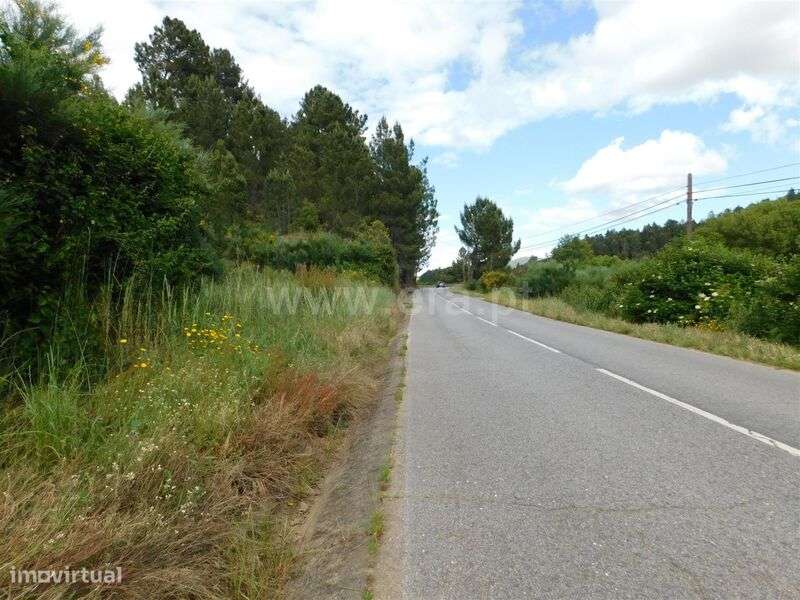 Terreno Rústico Estúdio / Fundão, Enxabarda - Grande imagem: 2/4