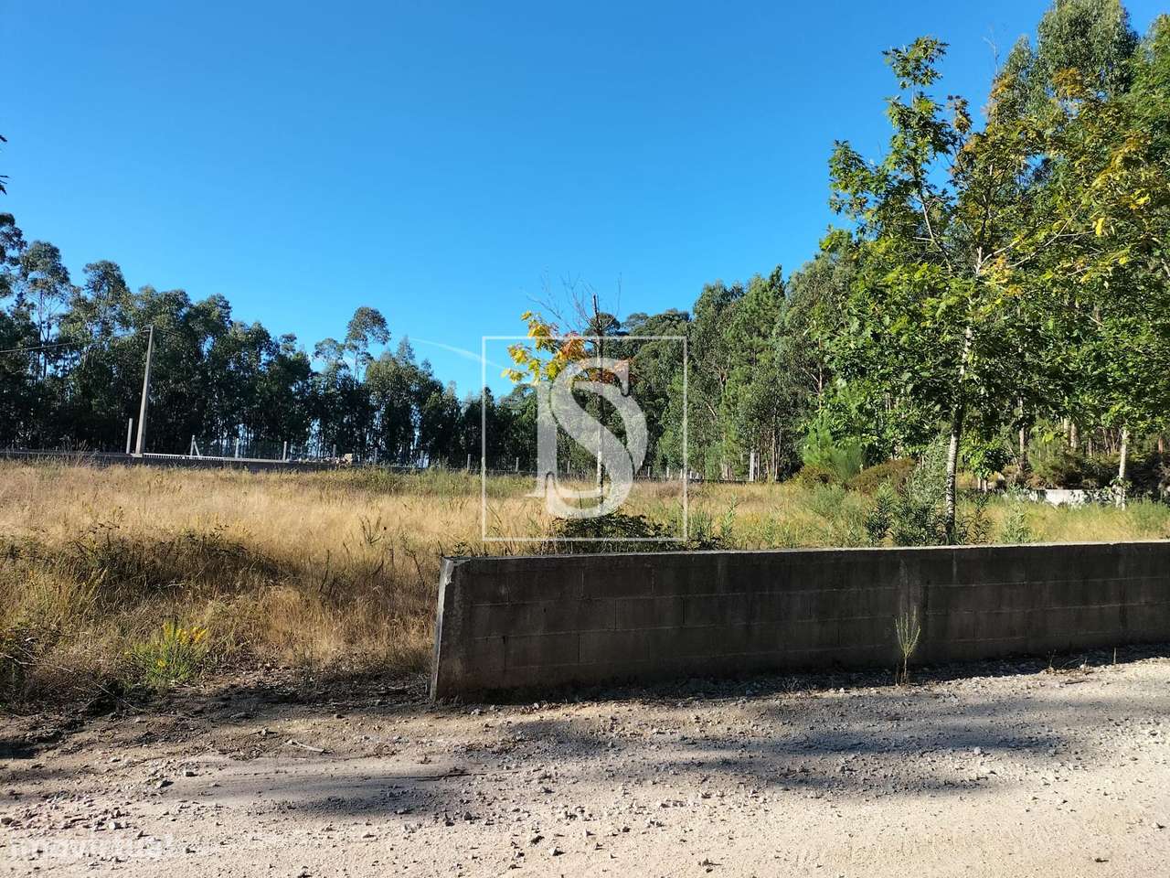 Terreno  Venda em Remelhe,Barcelos - Grande imagem: 3/6