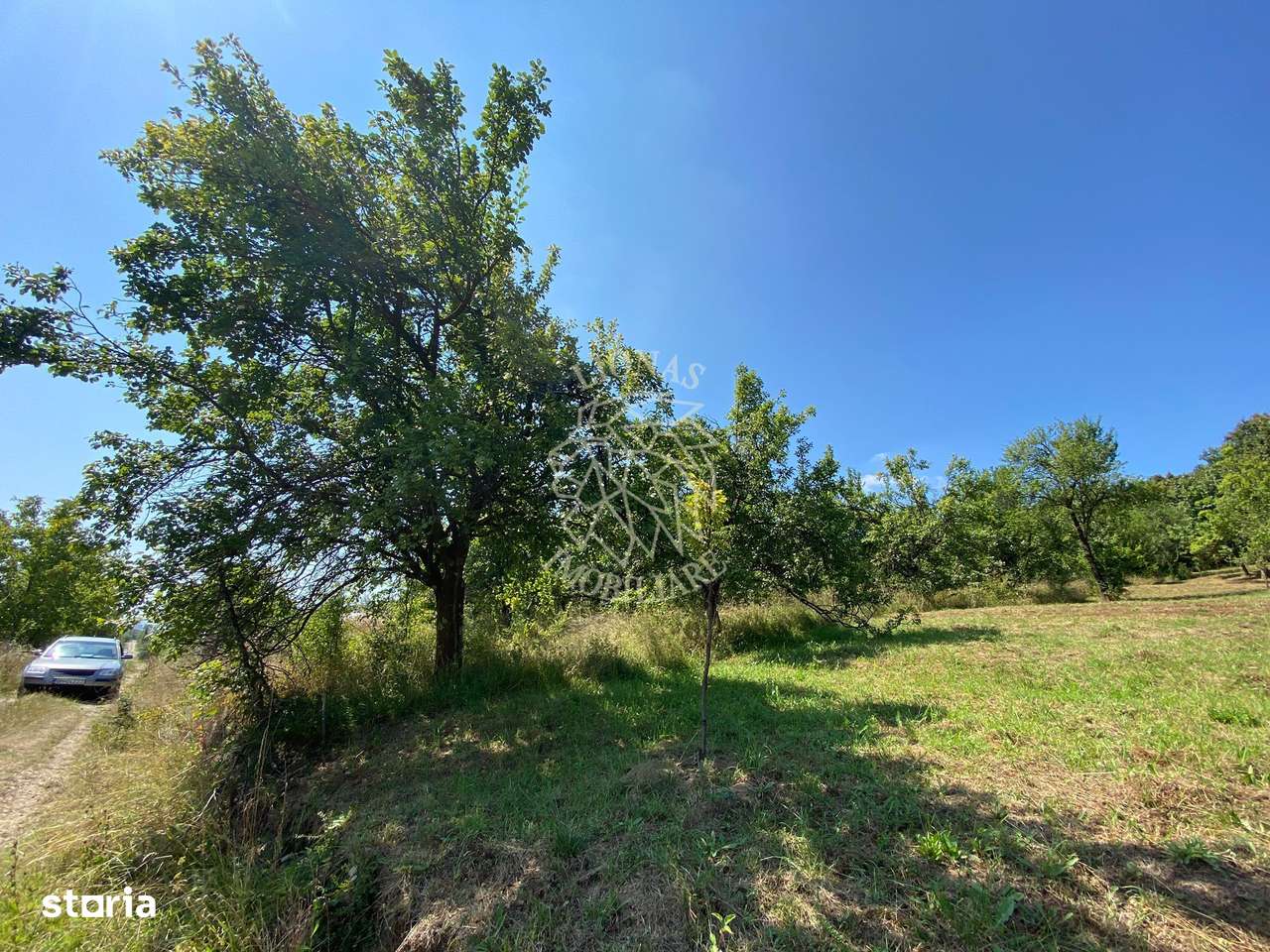 Teren intravilan 1300 mp-parcelabil-Viile cu Pomi-Unirea-Exclusiv - Imagine principală: 4/7