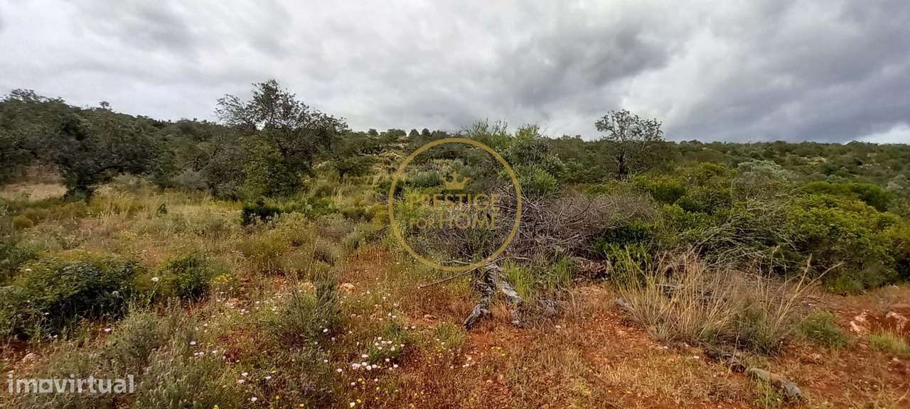 Terreno Rústico com Alfarrobeiras e Amendoeiras - 7.840 m² de Natureza - Grande imagem: 4/18