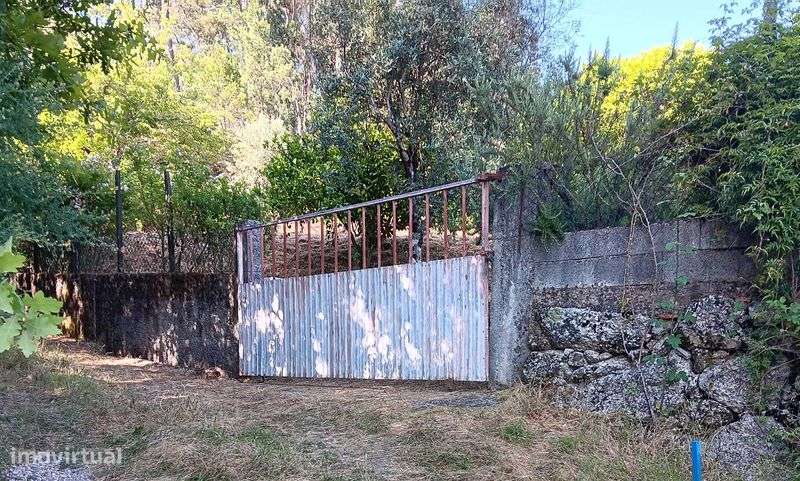 Quintinha agrícola - Grande imagem: 5/12