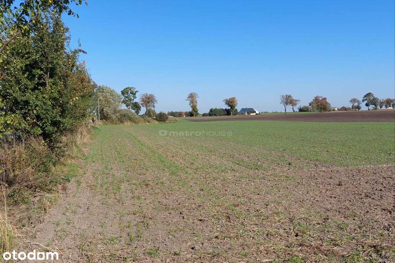 Nieruchomość w pobliżu Motoareny w Toruniu. - Pełny obrazek: 3/4