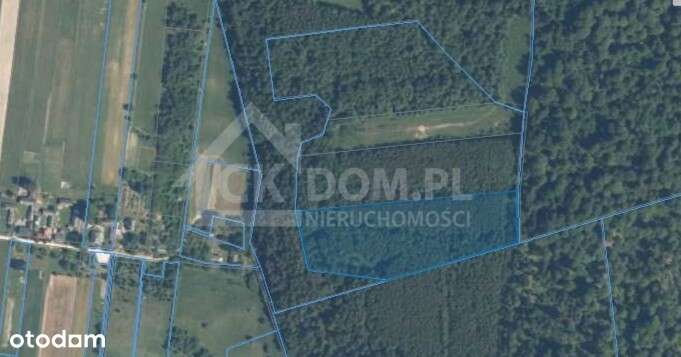 Działka na sprzedaż Cisów-5