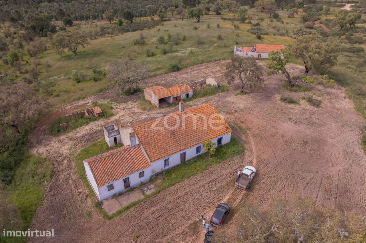 Herdade em Alvalade - Santiago do Cacém - Grande imagem: 5/22