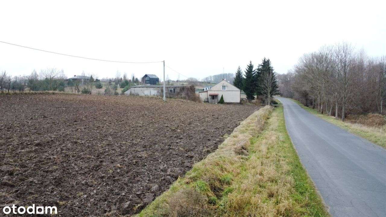 Działka w pobliżu jeziora - Łapinóżek-3