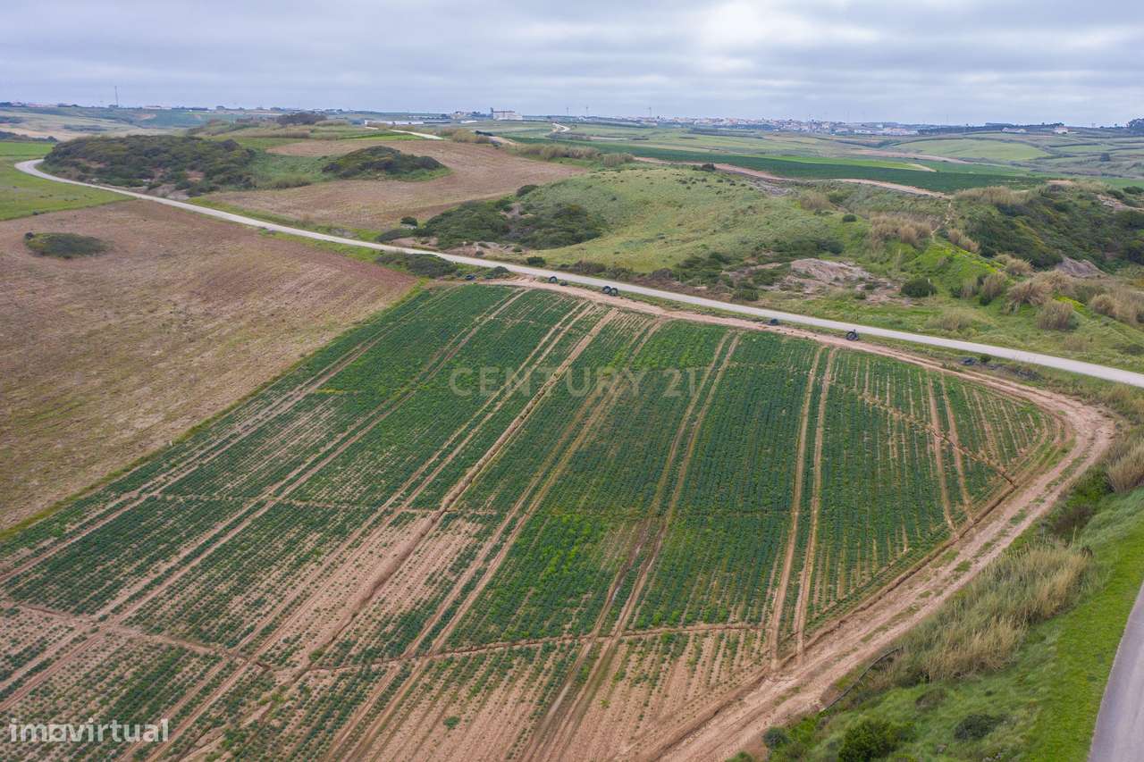 Vende se Terreno Rústico, em Pai Mogo, Lourinhã - Grande imagem: 2/20