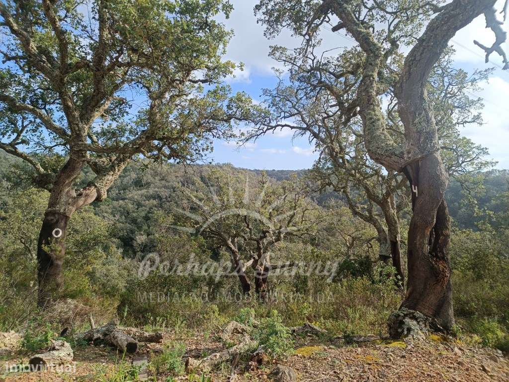Terreno Rustico São Francisco da Serra - Grande imagem: 5/24