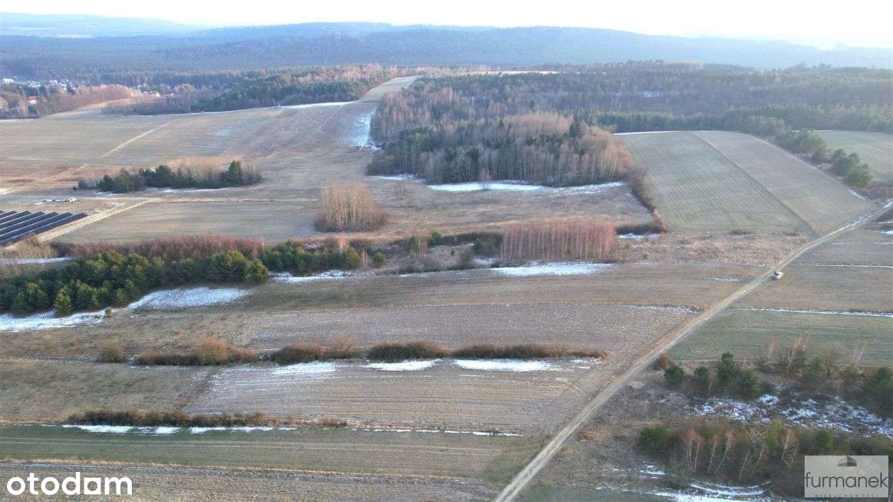 Działka rolna o pow. 9356 m2 w otoczeniu wzgórz - Pełny obrazek: 4/5