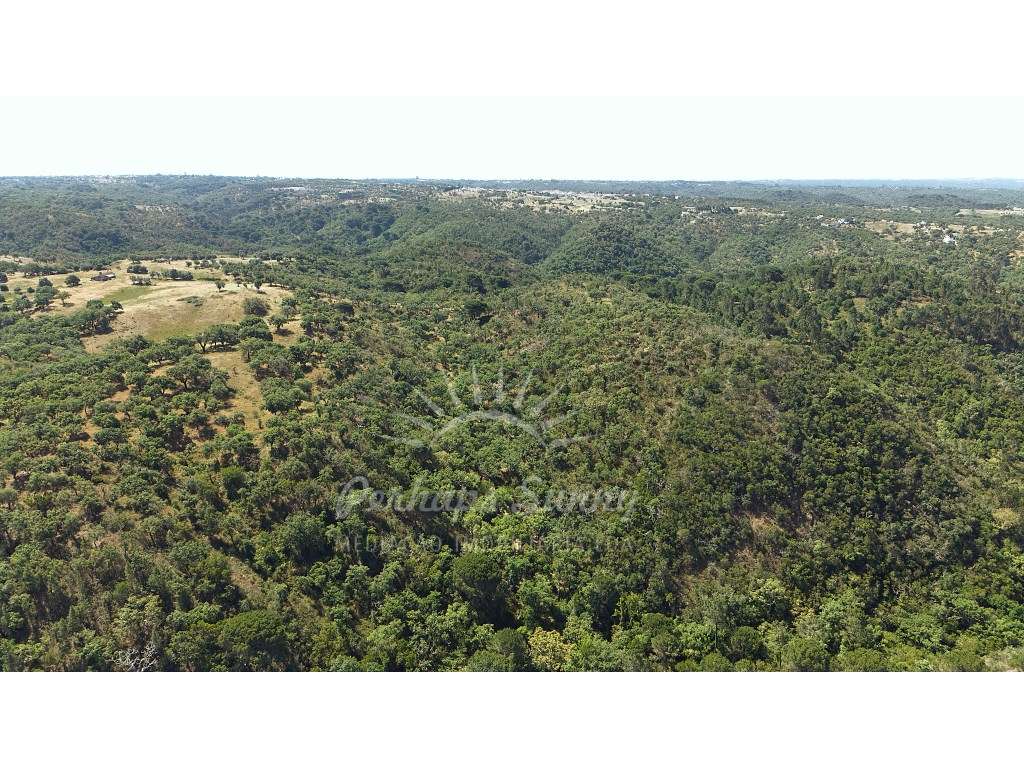 Terreno Misto - São Francisco da Serra - Melides-17