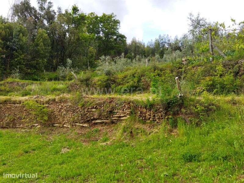 Terreno / Castelo de Paiva, Raiva, Pedorido e Paraíso - Grande imagem: 5/7