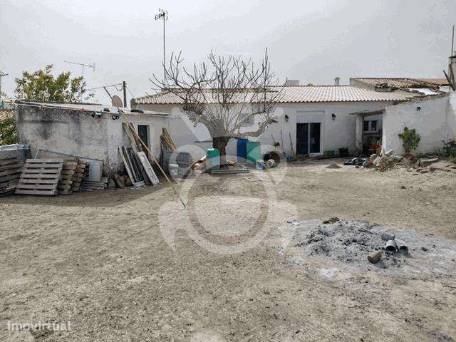 Moradia renovada com grande quintal - Perolivas-20