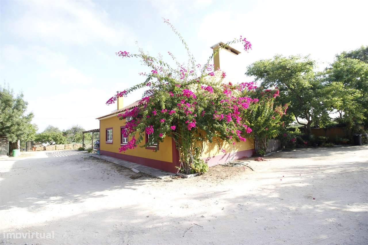 Quinta  Venda em Vendas Novas,Vendas Novas-14