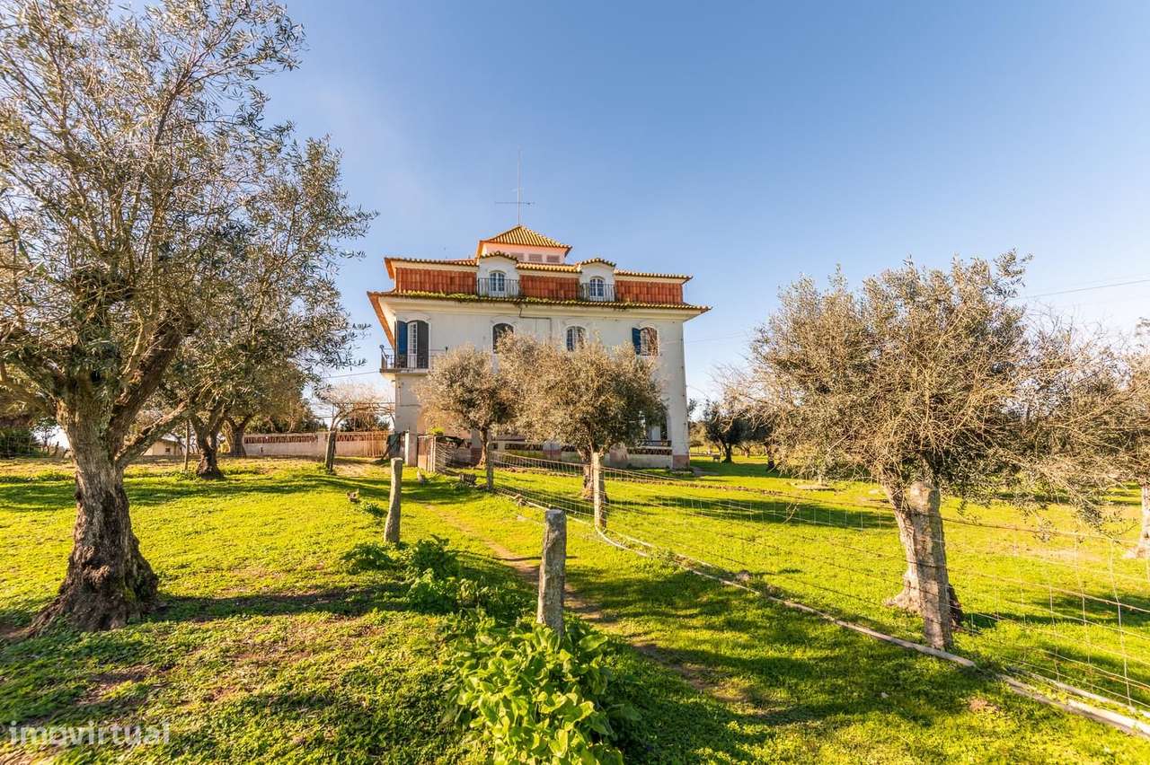 Quinta 5.7 ha, Évora - Grande imagem: 5/39