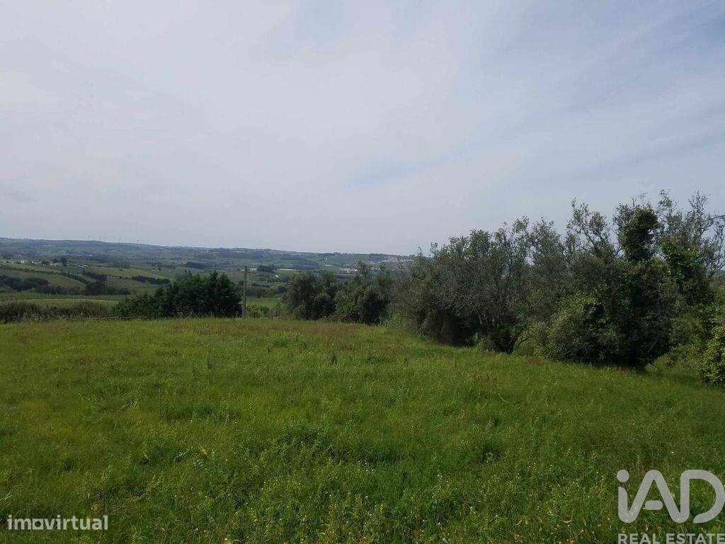 Terreno em Carvalhal de 5880,00 m2 - Grande imagem: 4/9