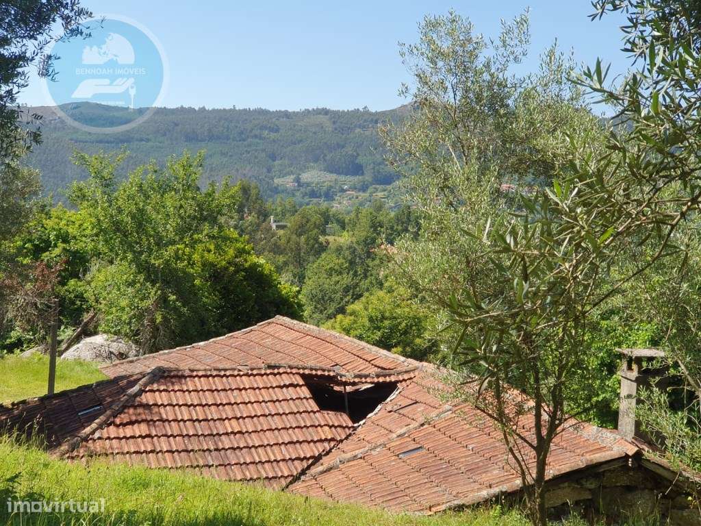 Quinta à venda para restauro em Arroteia freguesia de Rossas-16