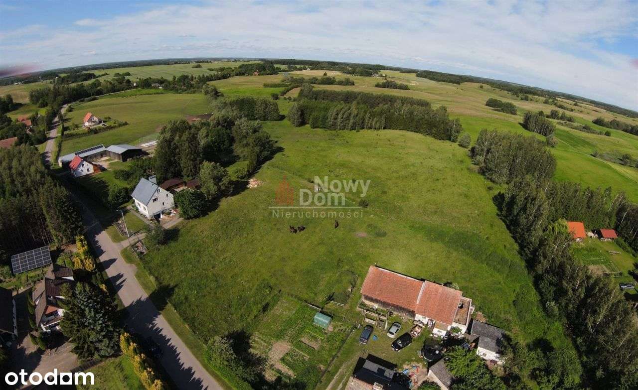 Działka Miłki! Mazury! - Pełny obrazek: 5/12