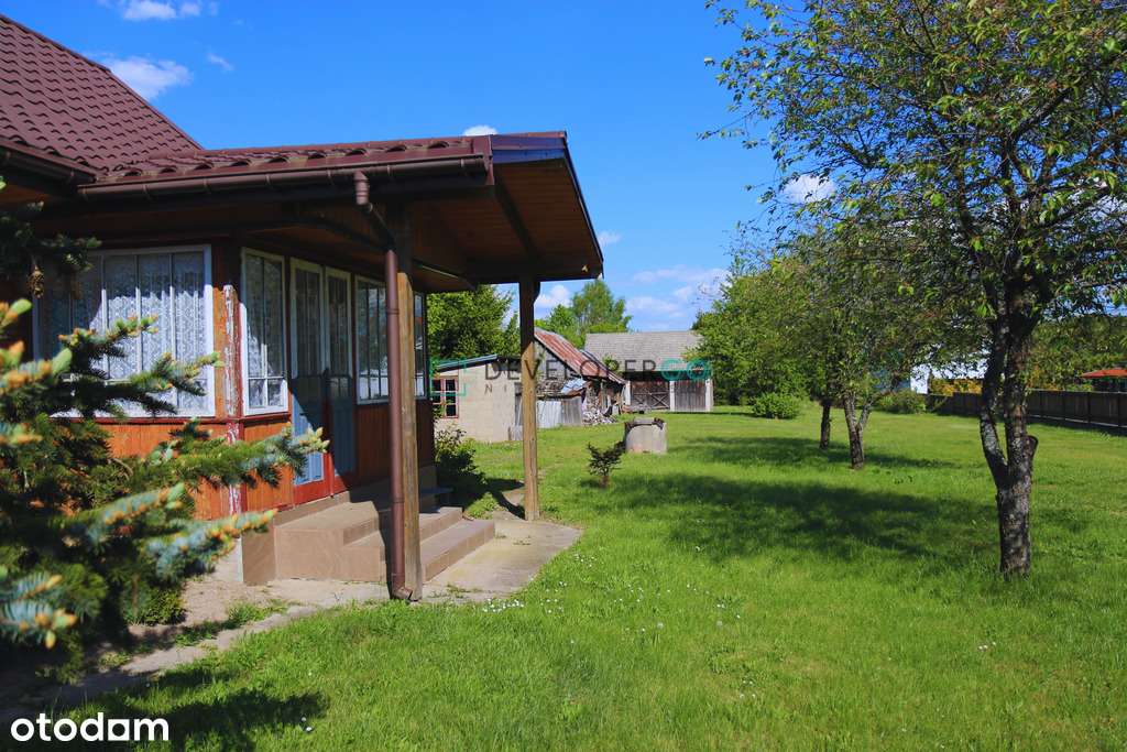 Siedlisko w Puszczy Białowieskiej z 2,8ha gruntu-3