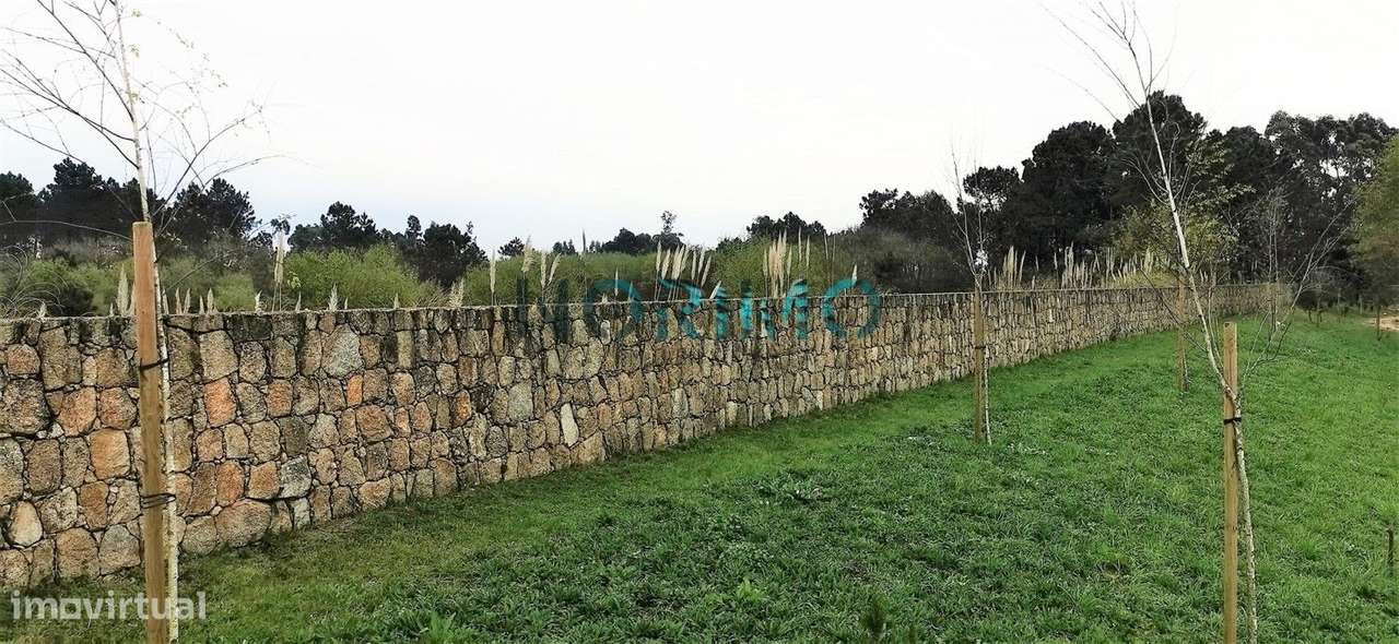 NOR21121 - Grande imagem: 5/6